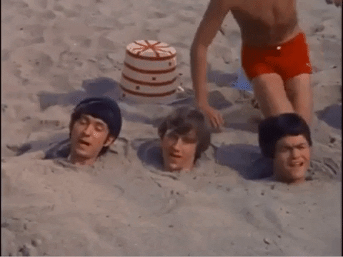 Best Friends GIF by The Monkees