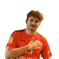 Logo Handball Sticker by SVFides