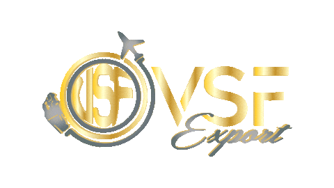 vsfexport giphyupload vsf vsfexport vsf export Sticker