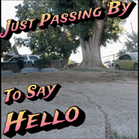 Tumbleweed Hello GIF