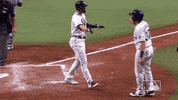 Regular Season Sport GIF by MLB