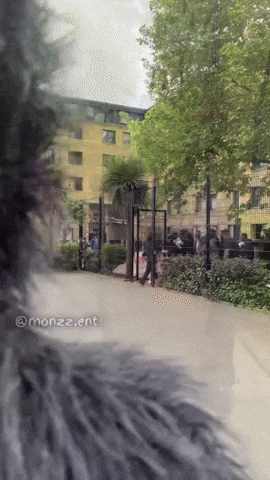 Grove Street Gang GIF by Ren DMC