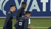 GIF by FOX Sports