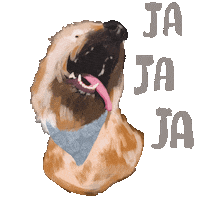 Dog Feliz Sticker