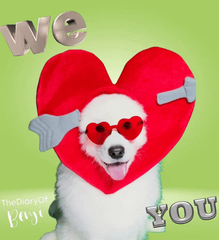 Love You Lover GIF