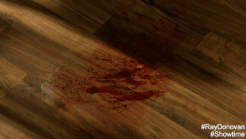 season 4 showtime GIF by Ray Donovan