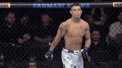 Mixed Martial Arts Sport GIF by UFC