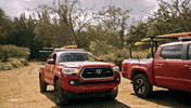 Ready GIF by FOX TV