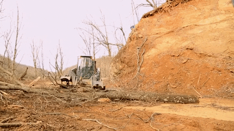 JCPropertyProfessionals giphygifmaker jc property professionals heavy equipment logging GIF