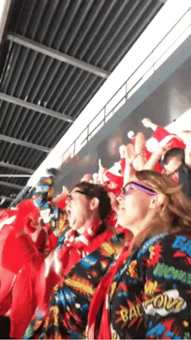 IIHFHockey celebrate hug fan cheer GIF