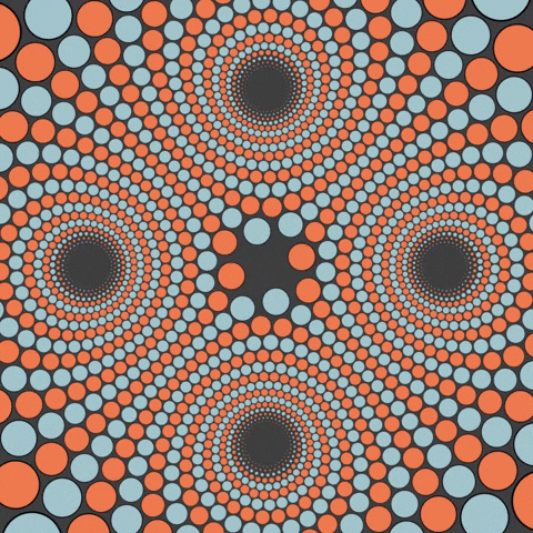 ylegall giphyupload GIF