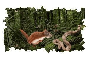 Forest Environment Sticker