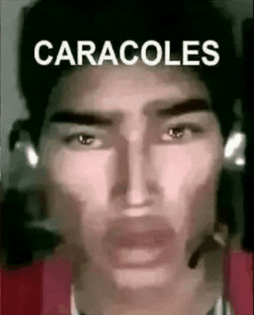 Fernanfloo Caracoles GIF