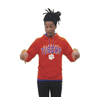 College Football Touchdown Sticker by DICK'S Sporting Goods