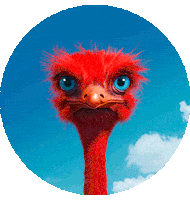 Apple Cooking Sticker by elbe-obst