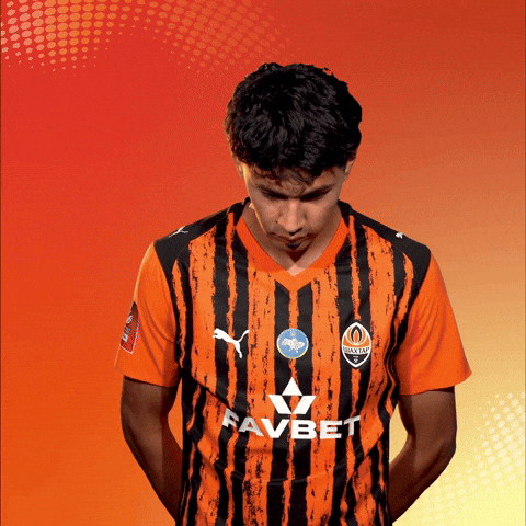 Football Pride GIF by FC Shakhtar