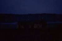season 1 GIF by Twin Peaks on Showtime