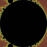 self GIF