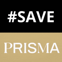 prismakouta love gay lgbt queer GIF