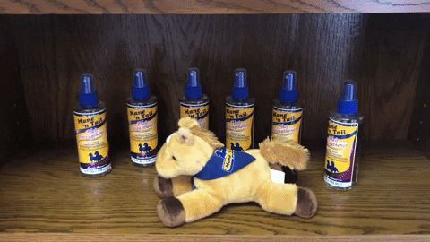 hair product GIF by Mane 'n Tail