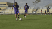 laser GIF by Orlando City SC