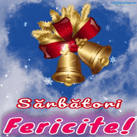 Merry Christmas GIF by echilibrultau