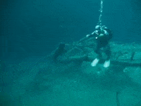 Rabbit Hole Diving GIF by hamlet