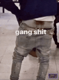 Is That The Wind GIF