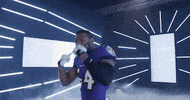 Dance Reaction GIF by Baltimore Ravens