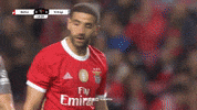 Sl Benfica Slbgifs GIF by Sport Lisboa e Benfica