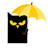 Fun Night Sticker by GUARANA