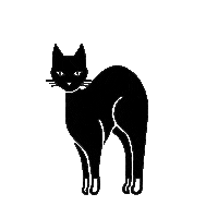black cat Sticker by freyja