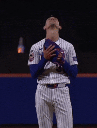 Mets Lfgm GIF