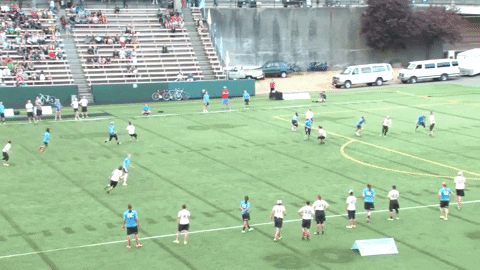 flikulti ultimate frisbee flik GIF