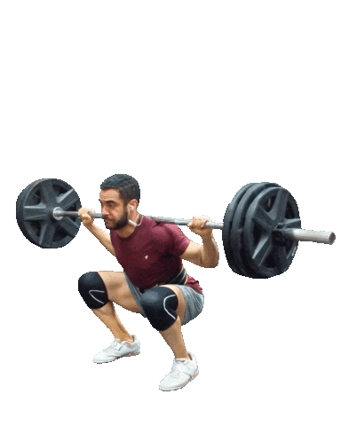 Workout Squatting Sticker by Squat Fit