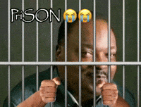 Son Prison GIF