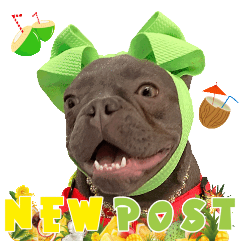 French Bulldog New Post Sticker by Pimp Yo Pets