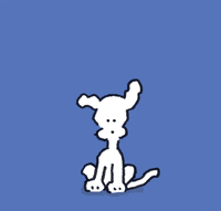 blow dry hair GIF by Chippy the Dog