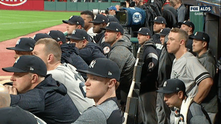 Yankees GIF by Jomboy Media
