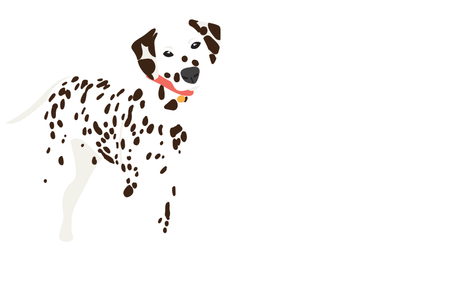 Dog Sticker by KONG Company