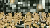 Doge Dogecoin GIF