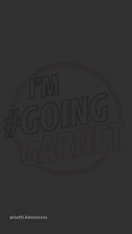 uofscadmissions giphyupload university south carolina southcarolina GIF