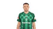 Werder Bremen Cheering Sticker by Bundesliga