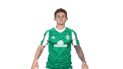 Josh Sargent Bundesliga Sticker by SV Werder Bremen
