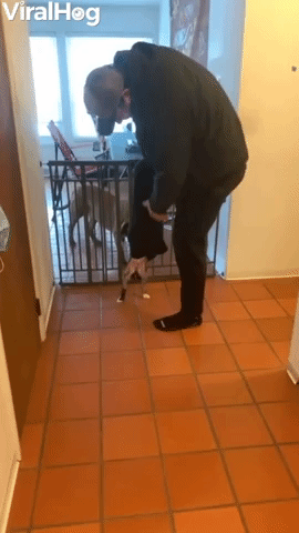 Puppy Falls Out of Owner's Pants