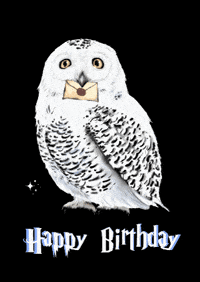 Happy Birthday Post GIF