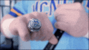 McNeeseSports baseball ncaa champion champions GIF