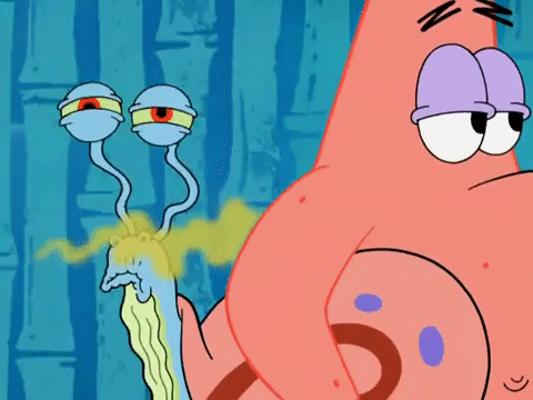 season 8 barnacle face GIF by SpongeBob SquarePants