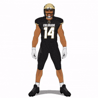 Be Quiet Colorado Buffaloes GIF by SportsManias