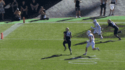 Pac12Fb Buffsfootball GIF by Pac-12 Network